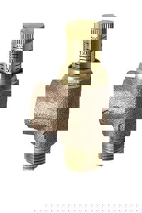 1/2 in. Adjustable Pressure Relief Valve